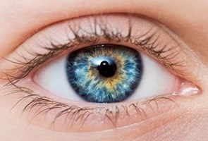 Eyes