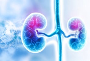 Nephrology