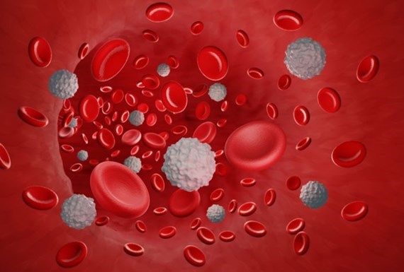 Specializing in Hematology and Oncology