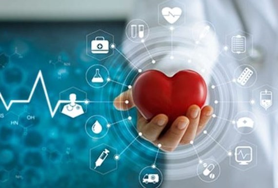 Cardiovascular